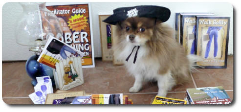 unhappy christmas dog